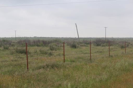 Texas Cattle Ranch/ Hunting Ranch For Auction - image 84