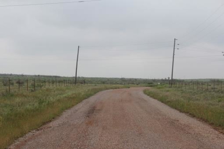Texas Cattle Ranch/ Hunting Ranch For Auction - image 79