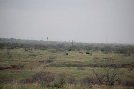 Texas Cattle Ranch/ Hunting Ranch For Auction - image 40