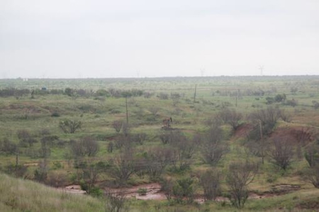Texas Cattle Ranch/ Hunting Ranch For Auction - image 46
