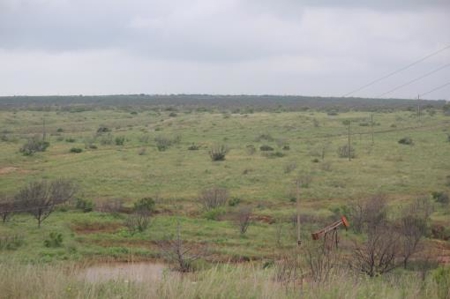Texas Cattle Ranch/ Hunting Ranch For Auction - image 23