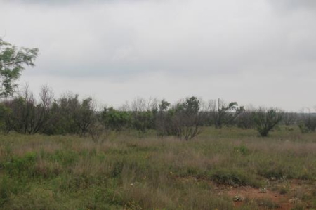Texas Cattle Ranch/ Hunting Ranch For Auction - image 25