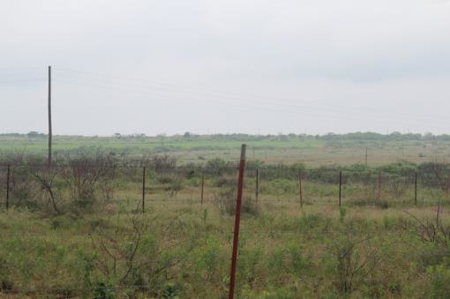 Texas Cattle Ranch/ Hunting Ranch For Auction - image 6