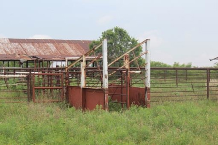 Texas Cattle Ranch/ Hunting Ranch For Auction - image 66