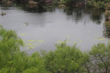 Texas Cattle Ranch/ Hunting Ranch For Auction - image 37