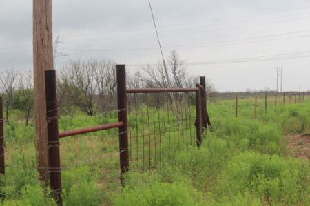 Texas Cattle Ranch/ Hunting Ranch For Auction - image 32