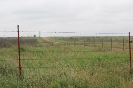 Texas Cattle Ranch/ Hunting Ranch For Auction - image 33