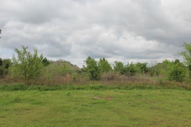 alt=