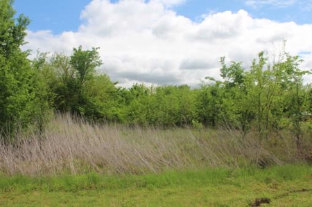 Residential Country Home Lot For Sale In Ne Tx - image 2