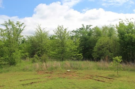 Residential Country Home Lot For Sale In Ne Tx - image 2