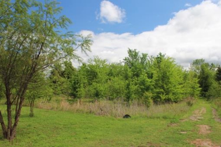Residential Country Home Lot For Sale In Ne Tx - image 2