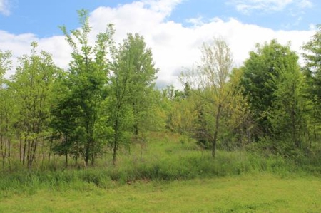 Residential Country Home Lot For Sale In Ne Tx - image 2