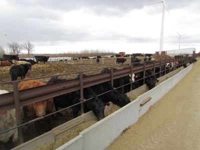 SOLD! Tract 1 $5350 per acre. Tract 2 $2800 per acre. - image 29
