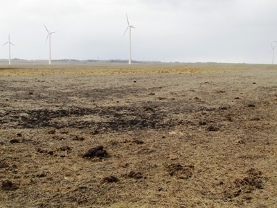 SOLD! Tract 1 $5350 per acre. Tract 2 $2800 per acre. - image 30