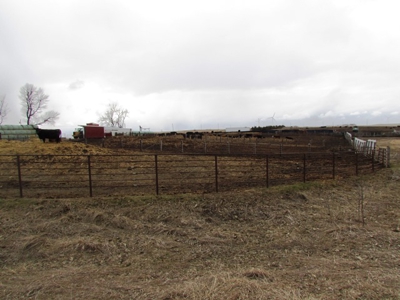 SOLD! Tract 1 $5350 per acre. Tract 2 $2800 per acre. - image 31
