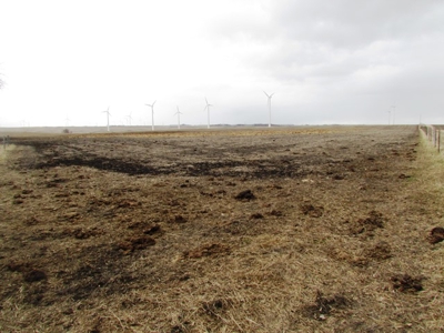 SOLD! Tract 1 $5350 per acre. Tract 2 $2800 per acre. - image 32