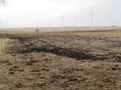 SOLD! Tract 1 $5350 per acre. Tract 2 $2800 per acre. - image 34