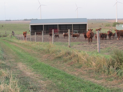 SOLD! Tract 1 $5350 per acre. Tract 2 $2800 per acre. - image 42