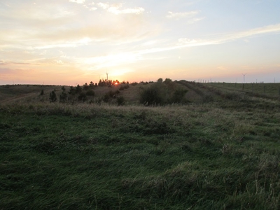 SOLD! Tract 1 $5350 per acre. Tract 2 $2800 per acre. - image 43
