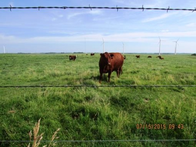 SOLD! Tract 1 $5350 per acre. Tract 2 $2800 per acre. - image 5