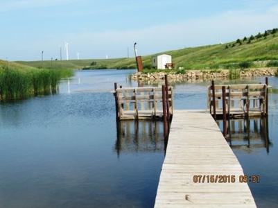 SOLD! Tract 1 $5350 per acre. Tract 2 $2800 per acre. - image 10