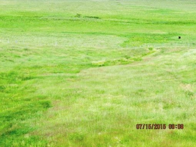 SOLD! Tract 1 $5350 per acre. Tract 2 $2800 per acre. - image 15