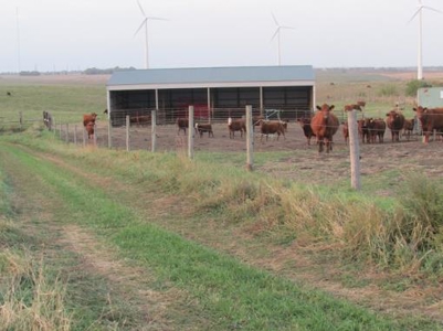 SOLD! Tract 1 $5350 per acre. Tract 2 $2800 per acre. - image 22