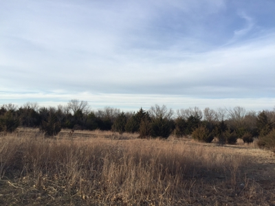 Central Oklahoma Land For Sale | Stillwater - image 2