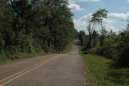 285 acres Recreational Timber Mississippi AUCTION Nov 14th - image 3