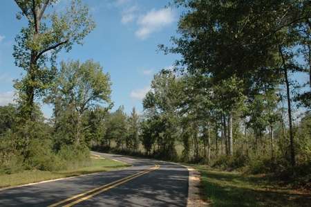 285 acres Recreational Timber Mississippi AUCTION Nov 14th - image 5