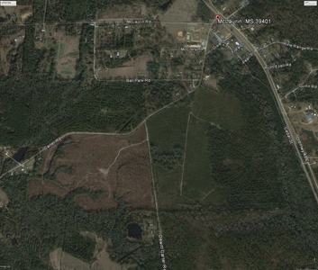 285 acres Recreational Timber Mississippi AUCTION Nov 14th - image 9