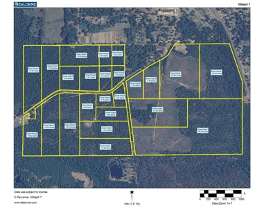 285 acres Recreational Timber Mississippi AUCTION Nov 14th - image 11