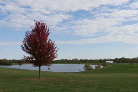 Luxury Real Estate Auction in Peculiar Missouri - image 25