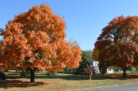 BURR REAL ESTATE and PERSONAL PROPERTY AUCTION - image 1