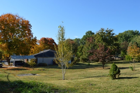 BURR REAL ESTATE and PERSONAL PROPERTY AUCTION - image 2