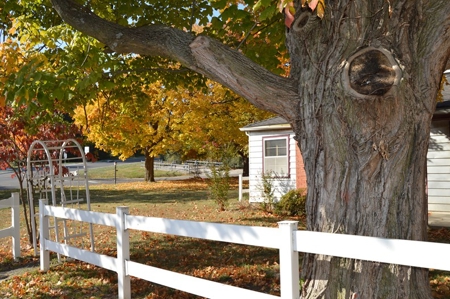 BURR REAL ESTATE and PERSONAL PROPERTY AUCTION - image 3