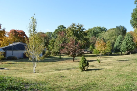 BURR REAL ESTATE and PERSONAL PROPERTY AUCTION - image 5