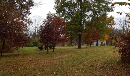 Online Only Real Estate Auction Kearney Missouri - image 6