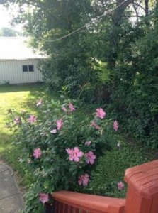 Remodeled Home Outside Of West Plains Mo For Sale - image 16