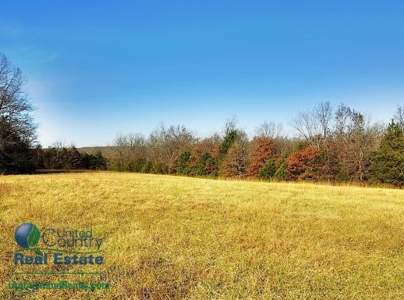 Osage County Land Iauction - image 38
