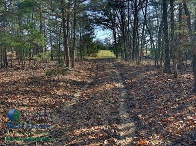 Osage County Land Iauction - image 39
