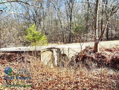Osage County Land Iauction - image 46