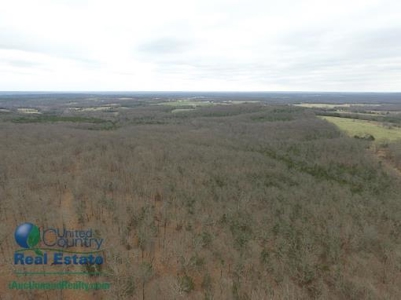 Miller County Land Iauction - image 7