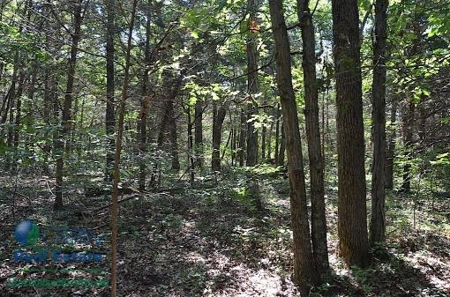 Miller County Land Iauction - image 53
