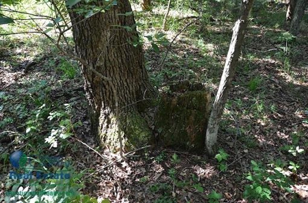 Miller County Land Iauction - image 1