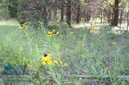 Miller County Land Iauction - image 25