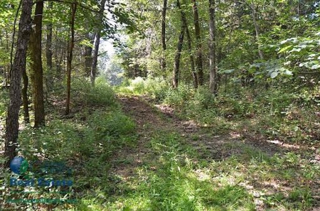 Miller County Land Iauction - image 40