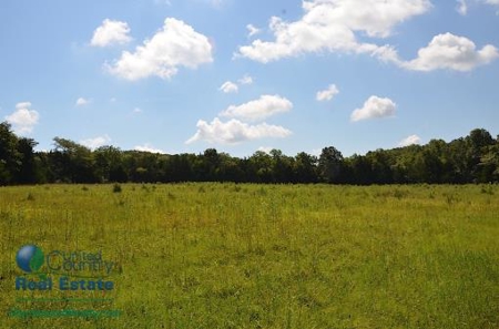 Miller County Land Iauction - image 16
