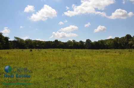 Miller County Land Iauction - image 46