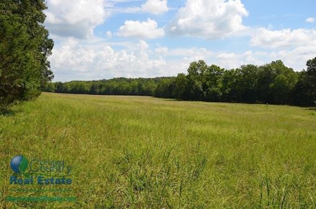 Miller County Land Iauction - image 17